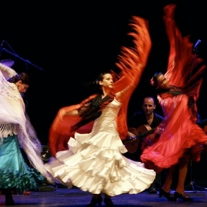 flamenco dance barcelona